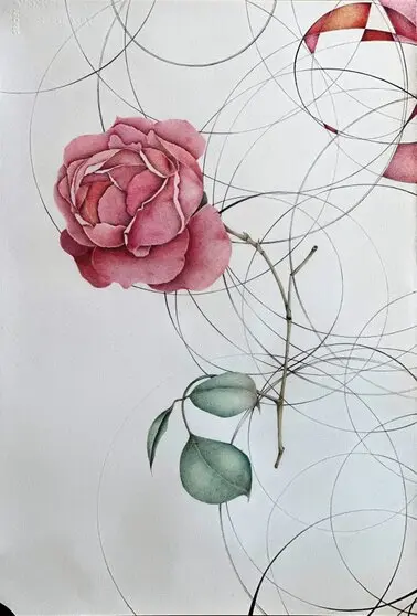 Rose, ballpoint, art, Montblanc ink, La Petra